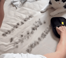Premium Pet Hair Remover Gloves™