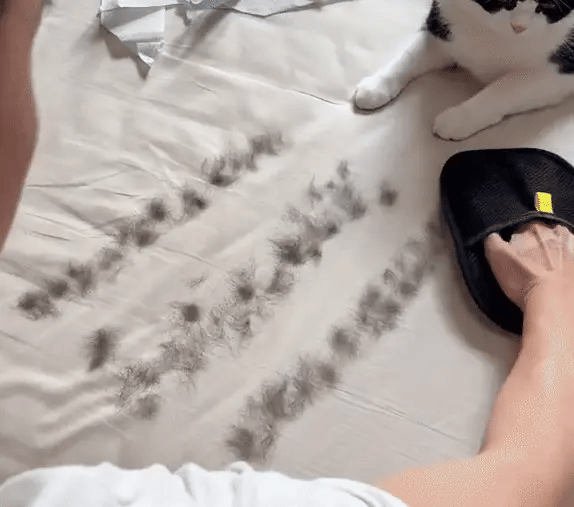 Premium Pet Hair Remover Gloves™