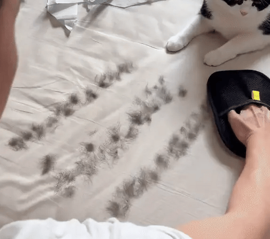 Premium Pet Hair Remover Gloves™